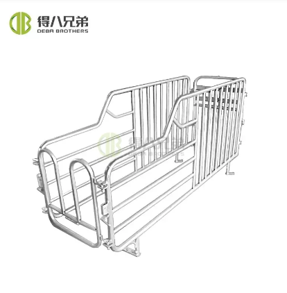 Pipe Type Gestation Stall