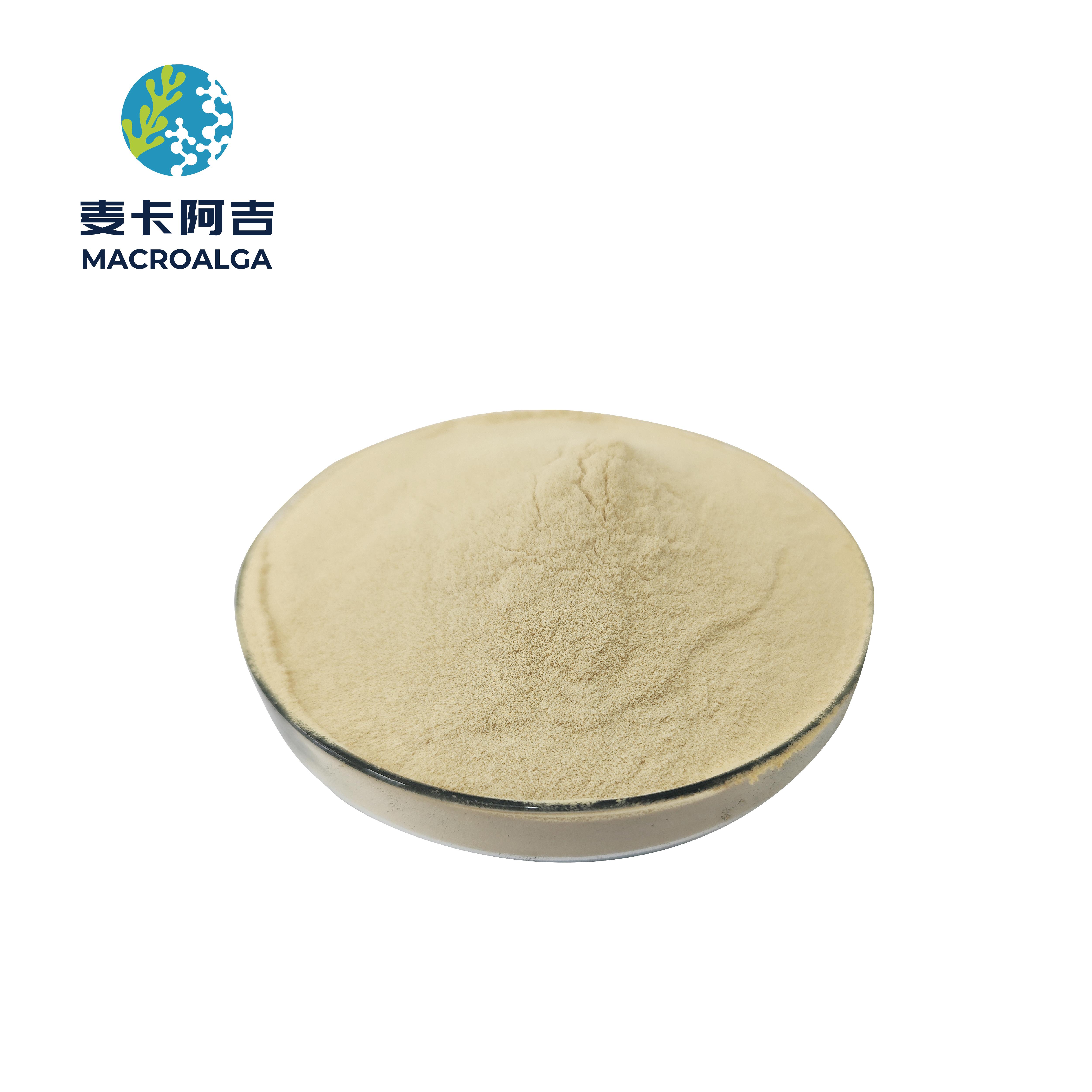 China Protein Hydrolysate Supplier Delivering Premium Nutritional Solutions