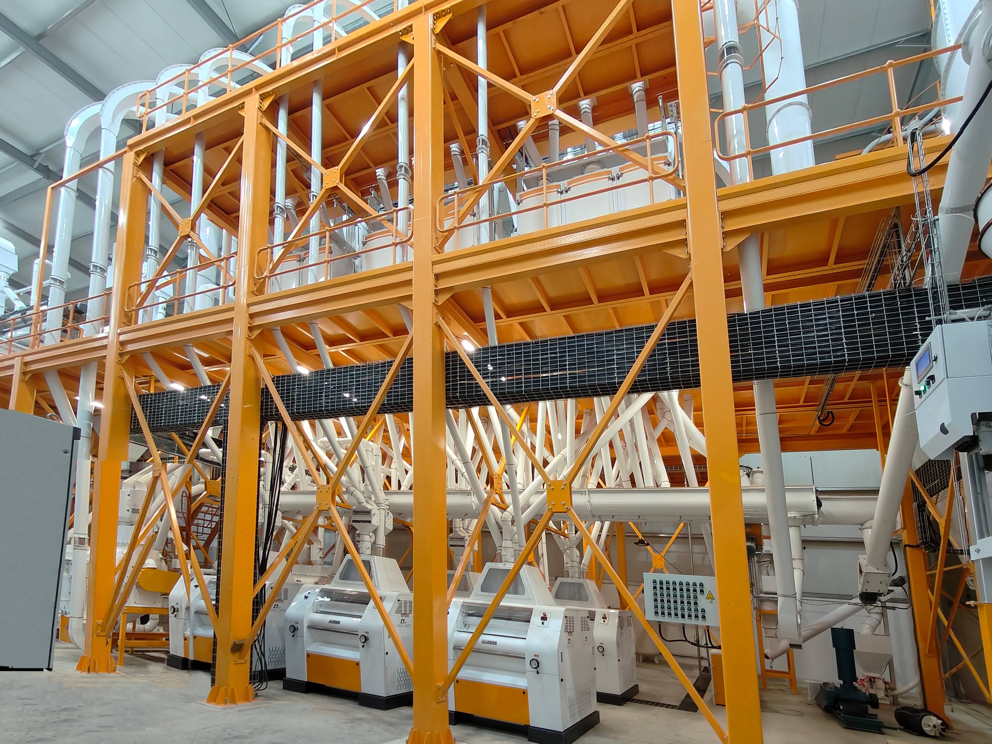 Grain Grinder Machine Company: A Complete Guide to Making the Right Choice